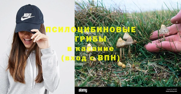 ГАЛЛЮЦИНОГЕННЫЕ ГРИБЫ Абаза