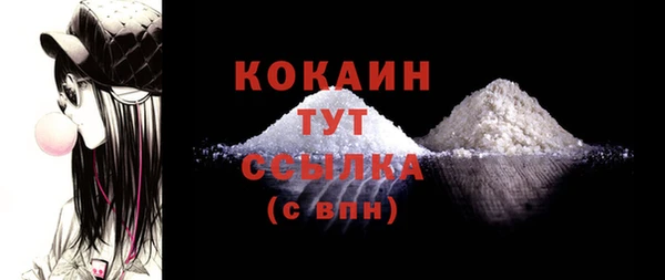ешки Пересвет