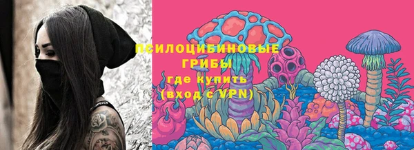 МДПВ Пестово