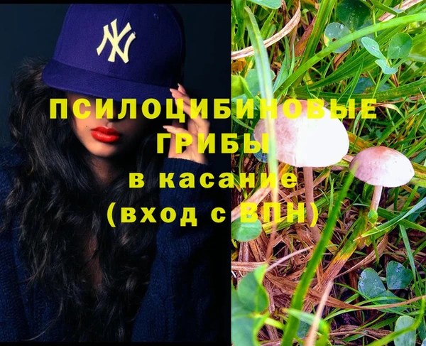 ГАЛЛЮЦИНОГЕННЫЕ ГРИБЫ Абаза