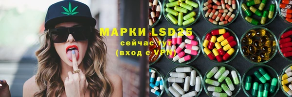 ГАЛЛЮЦИНОГЕННЫЕ ГРИБЫ Абаза