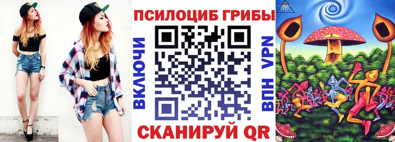 продажа наркотиков  omg ONION  Галлюциногенные грибы Psilocybe  Чкаловск 
